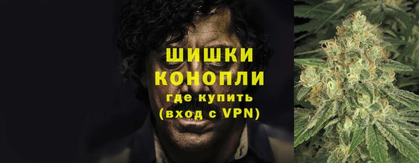 кокс Арсеньев