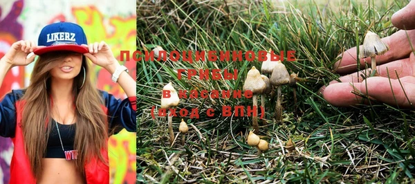 PSILOCYBIN Алексин